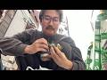 １週間同じ味のおにぎりしか食べれない男の末路