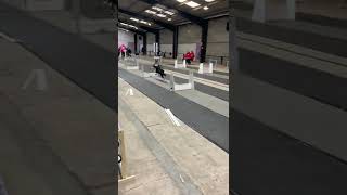 High Speed Dogs Race at Flyball Competition || ViralHog screenshot 4