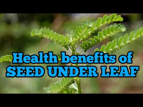 The AMAZING Health