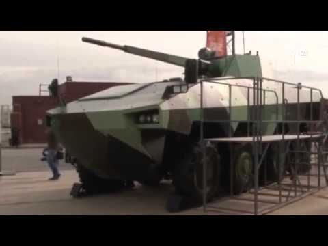 ქართული ჯარი - დასავლეთის სამხედრო ემბარგო