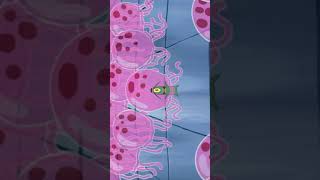 😵Man with the Yellow Hat meets Plankton🦠 #funny #humorvibes #comedyforever #goodhumor