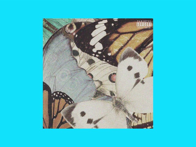 Watch MOIZ & Donat - Zemren Ma More (prod by 6am, Beatsbykush & Dri'lon) on YouTube Watch MOIZ & Donat - Zemren Ma More (prod by 6am, Beatsbykush & Dri'lon) on YouTube