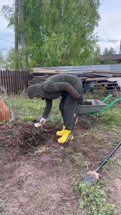 Согласны🤣? #юмор#смех#дачница#огородница#дачники#женскийюмор#смешно#рек ...
