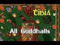 Tibia  all guildhalls  wszystkie guildhalle w tibii