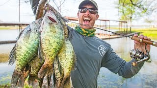 BIG CRAPPIE SPAWNING in Shallow Brush! CATCH & COOK