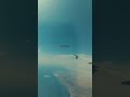 بتودع حلم كل يوم بتودع حلم كل يوم