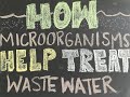 How do microorganisms help treat wastewater?