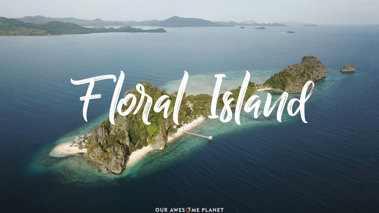 Floral Island Your Dream Vacation on Your Own Private Island Paradise