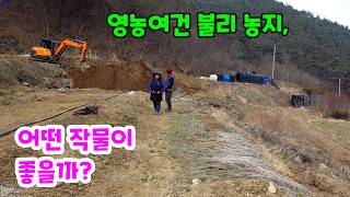 Best Crops for Challenging Mountain Land? screenshot 5