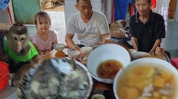 Canh đu đủ nấu với thịt. Cá dìa chiên giòn. Bữa cơm trưa với anh nhà quê vlog 