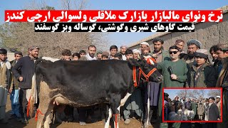 Download Lagu نرخ ونوای زمستانی در مالبازار بازارک ملاقلی ولسوالی ارچی کندز | قیمت گاوشیری، گوساله وبز گوسفند MP3