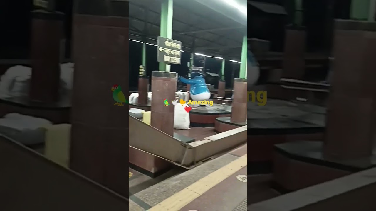 चिडिय़ों का बसेरा ll chidiyon ka basera ll bird's nest ll amezing sounds@Asansol Jn