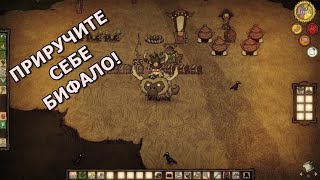 Гайд по приручению бифало. Don't Starve Together