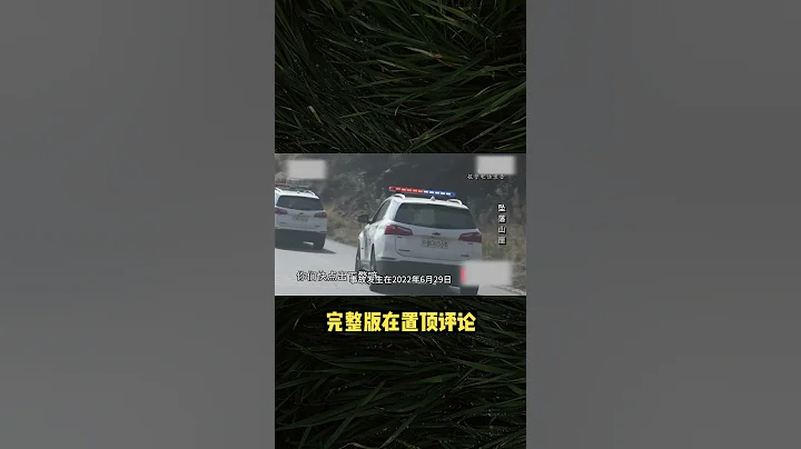 妻子溜車墜崖，車外丈夫驚慌失措，刑警介入迎來驚天逆轉，人性無法被窺探 - 天天要聞