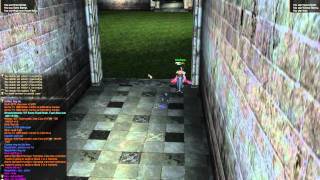 Lineage 2 Ghost hunter vs Duelist