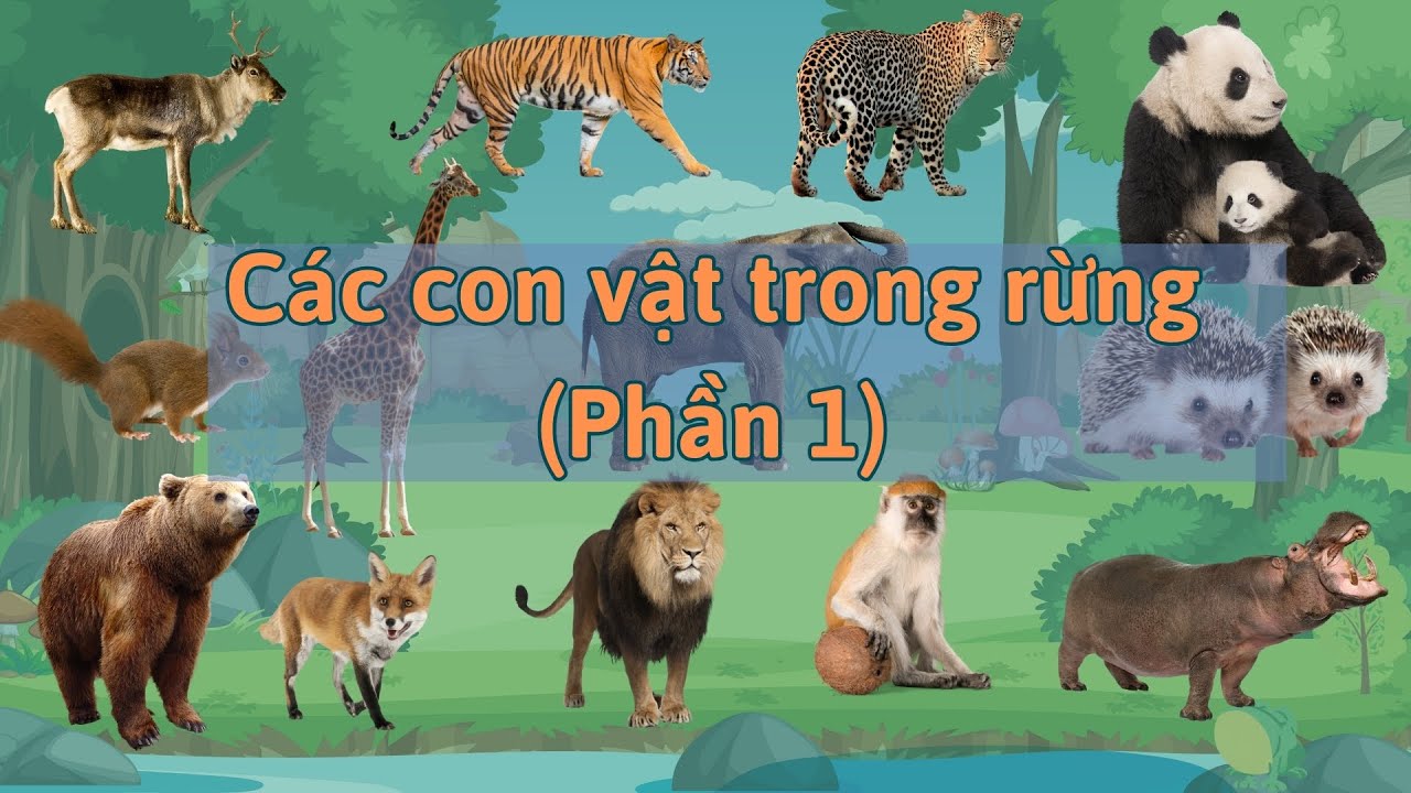 Các con vật trong rừng xanh - Song ngữ (Dành cho các bé từ 1-3 tuổi ...
