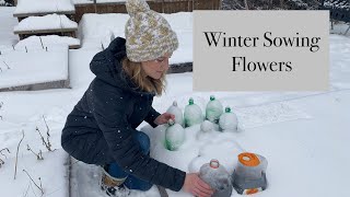 Winter Sowing Flowers in Zone 5b, Newfoundland.