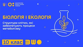 картинка: 10 клас. Біологія і екологія. Структури клітин, які забезпечують процеси метаболізму