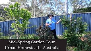 Mid-Spring Garden Tour | Early October | Australian Urban Homestead