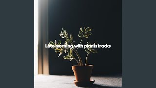 Exquisite Music for Wonderful Throwbacks