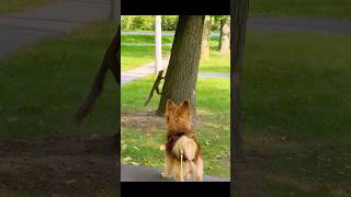 When Dora Falls in Love with a Squirrel 😂🐿️❤️