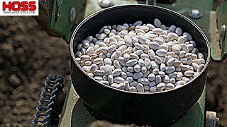 ARE THESE RUNNER BEANS REALLY AS GOOD AS THEY SAY?!