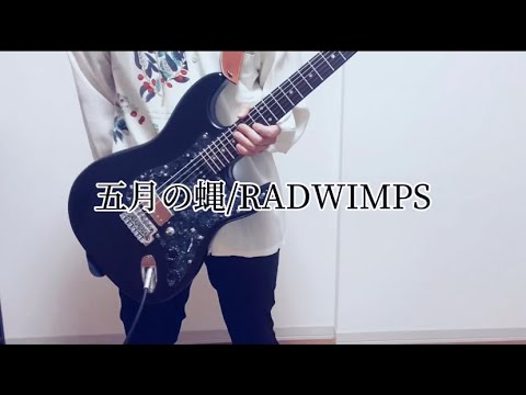 五月の蝿/RADWIMPS ギター弾いてみた。（Guitar cover）