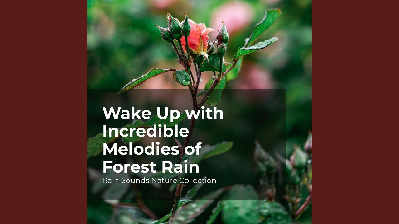 Animated Rain Showers YouTube