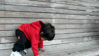 MVI_3100.avi