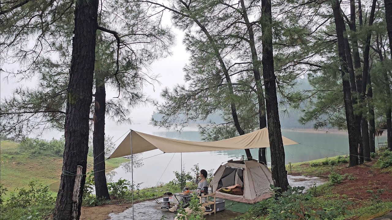 Solo Camping in a Pine Forest – Fishing on the Lake & Campfire Grilled Fish | Peaceful Nature Escape