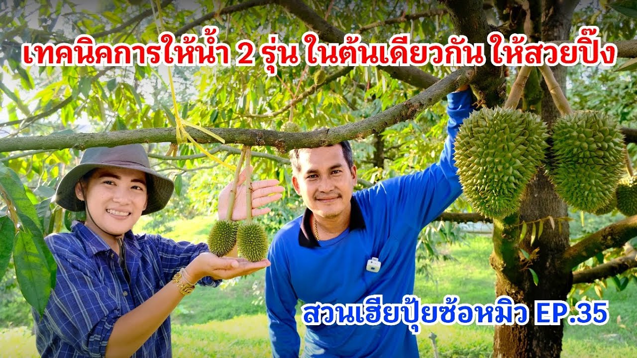 #กวินบินได้ EP.571 เทคนิคการให้น้ำ 2 รุ่น ในต้นเดียวกัน ให้สวยปิ๊ง #สวนเฮียปุ้ยซ้อหมิว EP.35