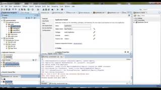Application Module in ADF
