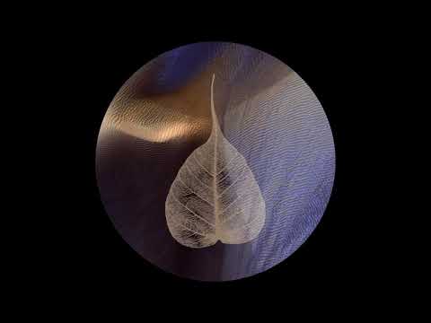 190103 Settle Down Right Away \ \ Thanissaro Bhikkhu \ \ Short Dhamma Talk