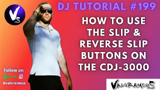Famous DJ Tutorial 199 | Mastering Slip & Reverse Slip on the Pioneer CDJ-3000 🎶 Net Worth