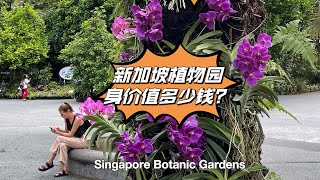 新加坡植物园身价值多少银子？继续探秘后才懂那是块无价之宝!Singapore Botanic Gardens2