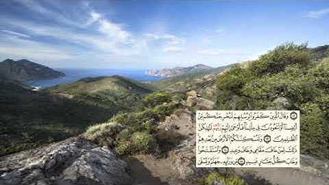 257- page سعد الغامدي - -سورة إبراهيم -Abraham (Ibrahim)14