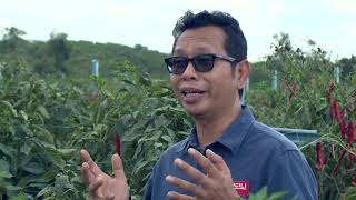 'Celik IOT, Tingkat Hasil Fertigasi Cili' - AGRO-X : Episod 1 'Celik IOT, Tingkat Hasil Fertigasi Cili' - AGRO-X : Episod 1