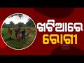 ଏବେ ବି ଆମ୍ବୁଲେନ୍ସ ସେବା ଅପହଞ୍ଚ : ଖଟିଆରେ ୨ କିଲୋମିଟର ବୁହା ହେବା ପରେ ଗଲେ ରୋଗୀ Kanak News