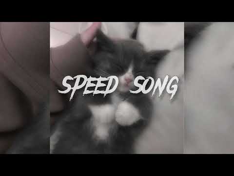 Он гениален speed up song