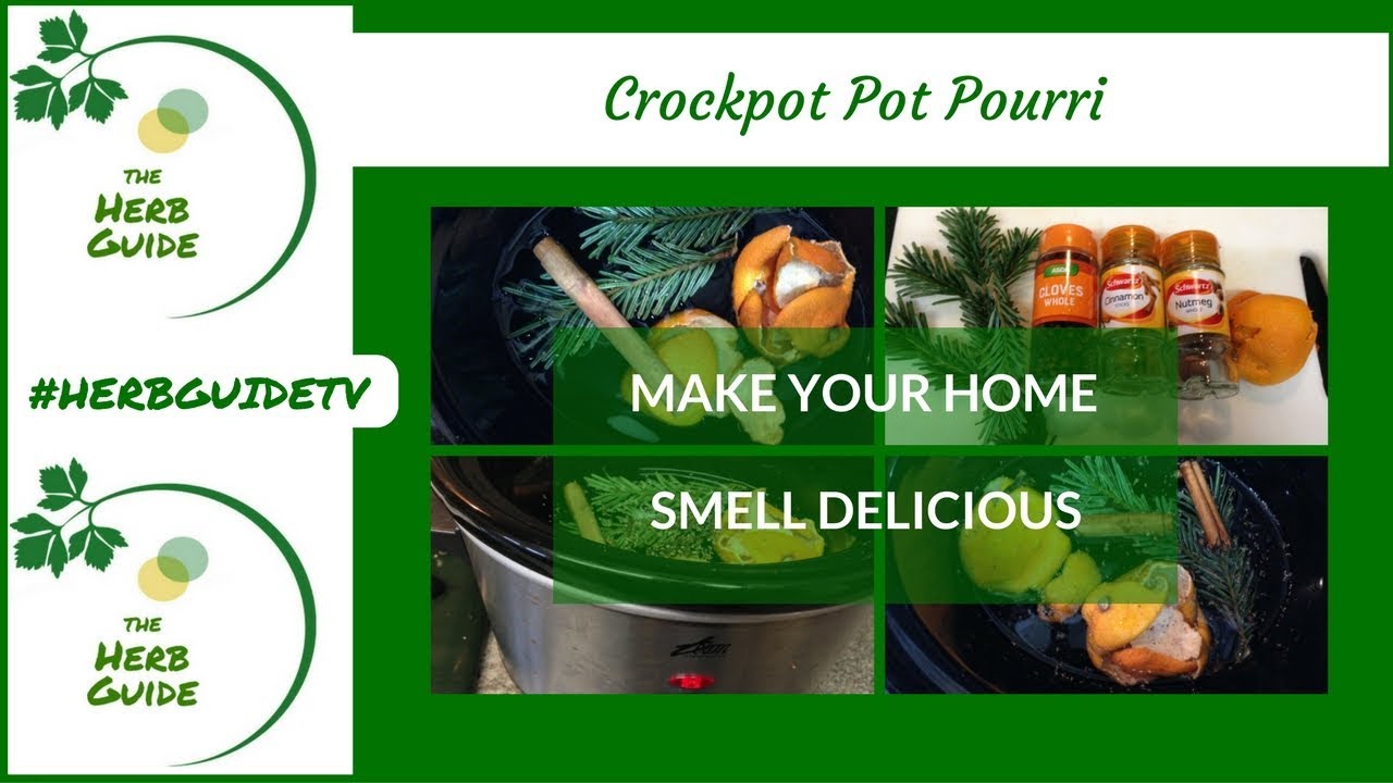 Crock Pot Fall Potpourri - 2 Bees in a Pod