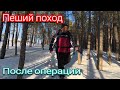 Пеший поход по заснеженному лесу