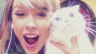 blank space x taylor swift x slowed to perfection
