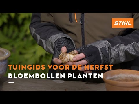 Video: Herfstuinbeplanner: Algemene wenke om 'n herfstuin te beplan