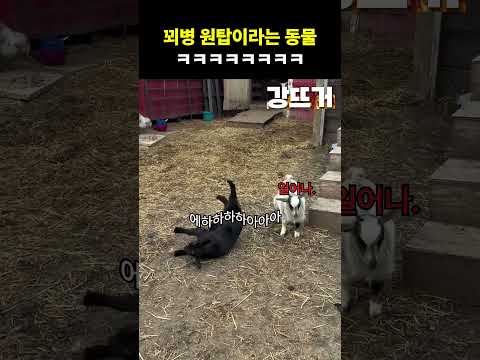 엄마가 저 목소리 내면 ㄹㅇ 큰일 난 거 thumbnail