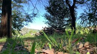 📍 Estás en el Parque Estancia La Quinta - VILLA CARLOS PAZ / Córdoba 🇦🇷 Video Relajación [4K 2160p]