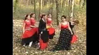 Gypsy music Rigo Monika .4.wmv