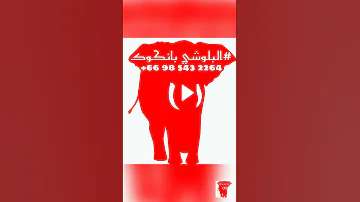 الصورة تتكلم إنها الكورونا يا سادة 