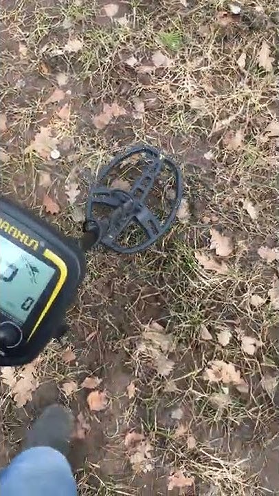 Про звук Metaldetector TX850 - YouTube