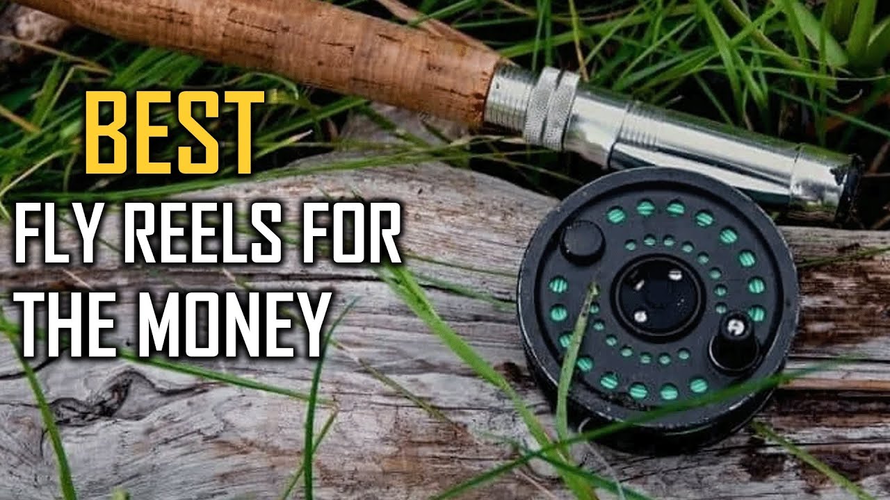 Best Fly Reels for the Money [Top 3 Review] - Lamson Liquid Fly Reel [2023]  