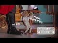 낭만유랑극단 대한민국 유랑기 - 시흥편  Romantic wandering troupe / 마리오네트인형극 / 마리오네트 / marioentte show /